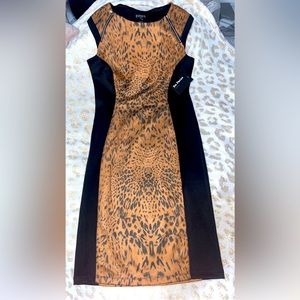 En Focus Studio dress